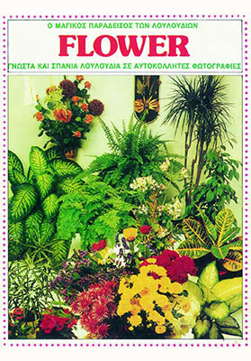 carouzel-sylloges_0022_21_flower2