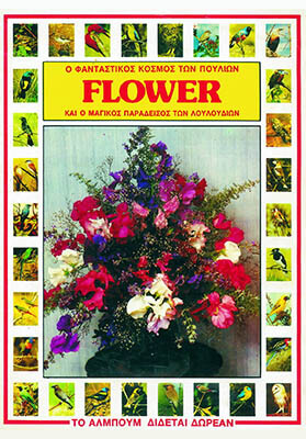 carouzel-sylloges_0024_22_flower3