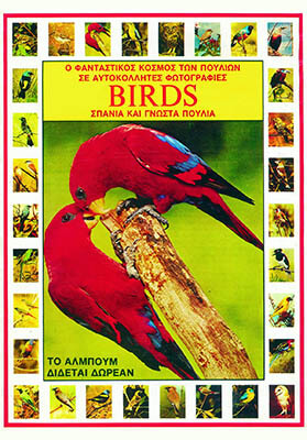 carouzel-sylloges_0028_birds